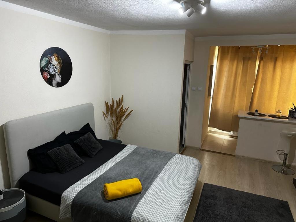 Reeas Apartament Temeşvar Dış mekan fotoğraf