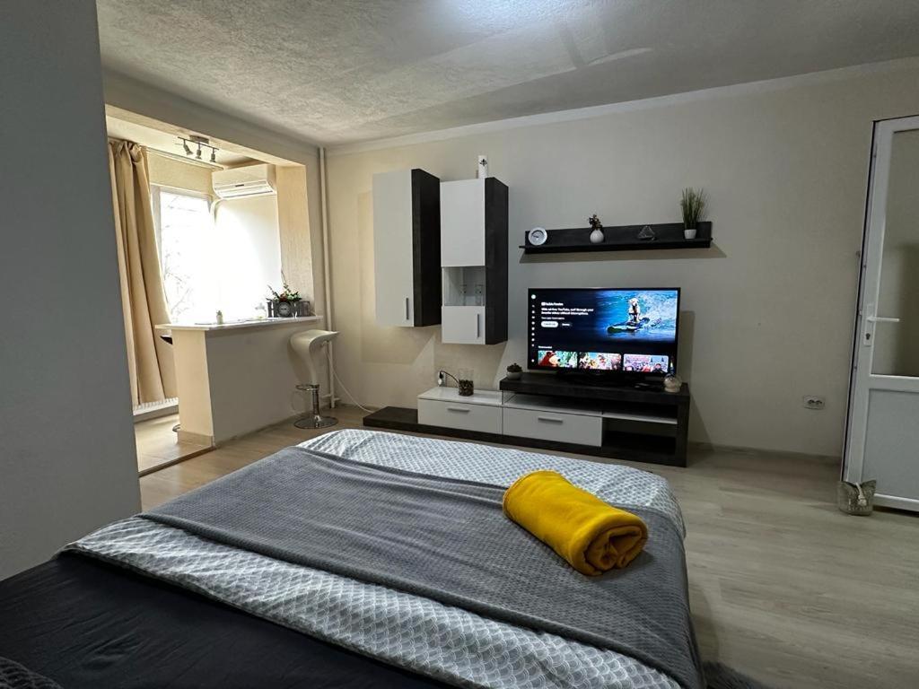 Reeas Apartament Temeşvar Dış mekan fotoğraf