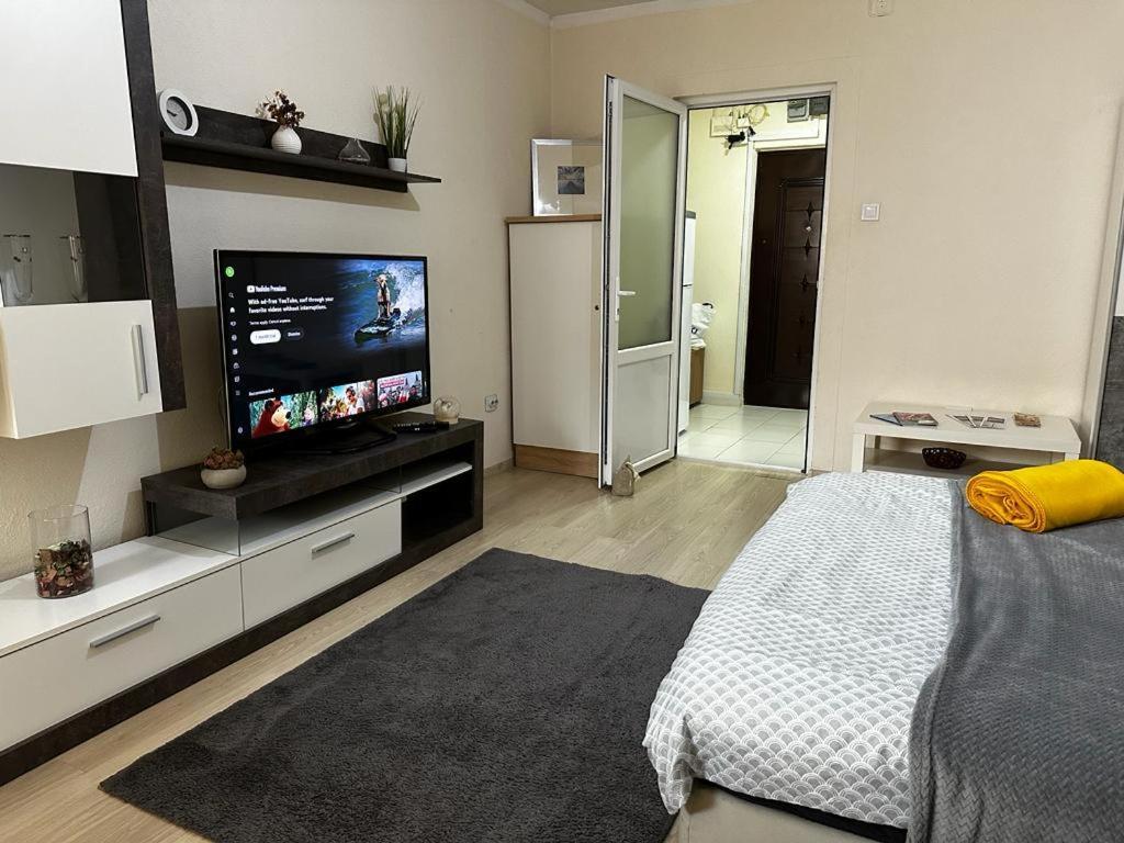 Reeas Apartament Temeşvar Dış mekan fotoğraf