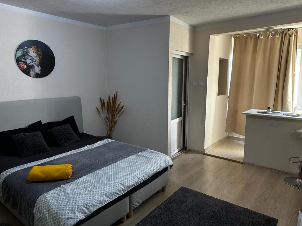 Reeas Apartament Temeşvar Dış mekan fotoğraf