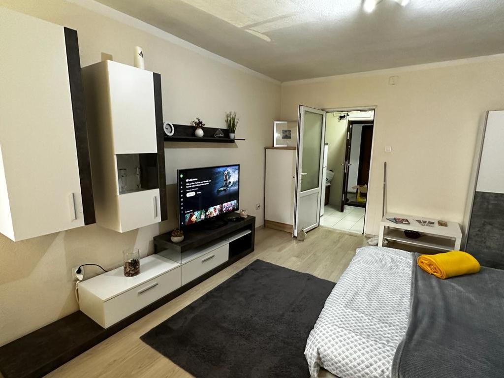 Reeas Apartament Temeşvar Dış mekan fotoğraf