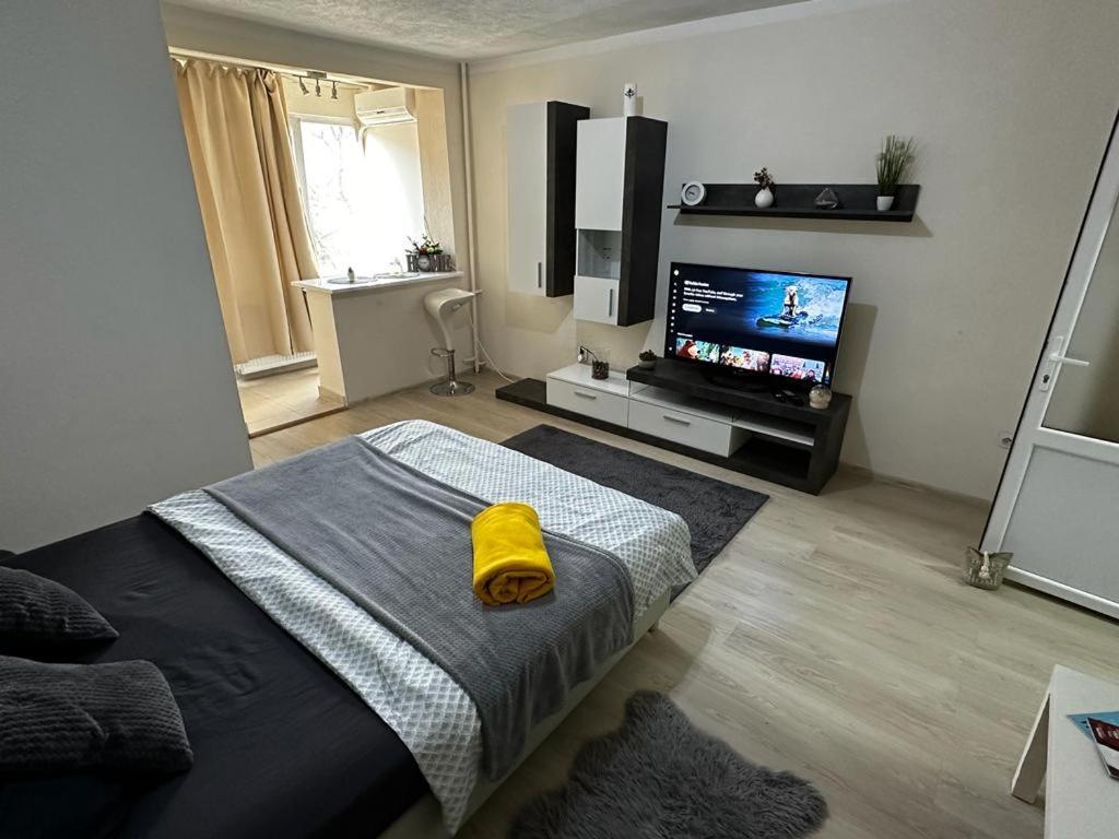 Reeas Apartament Temeşvar Dış mekan fotoğraf