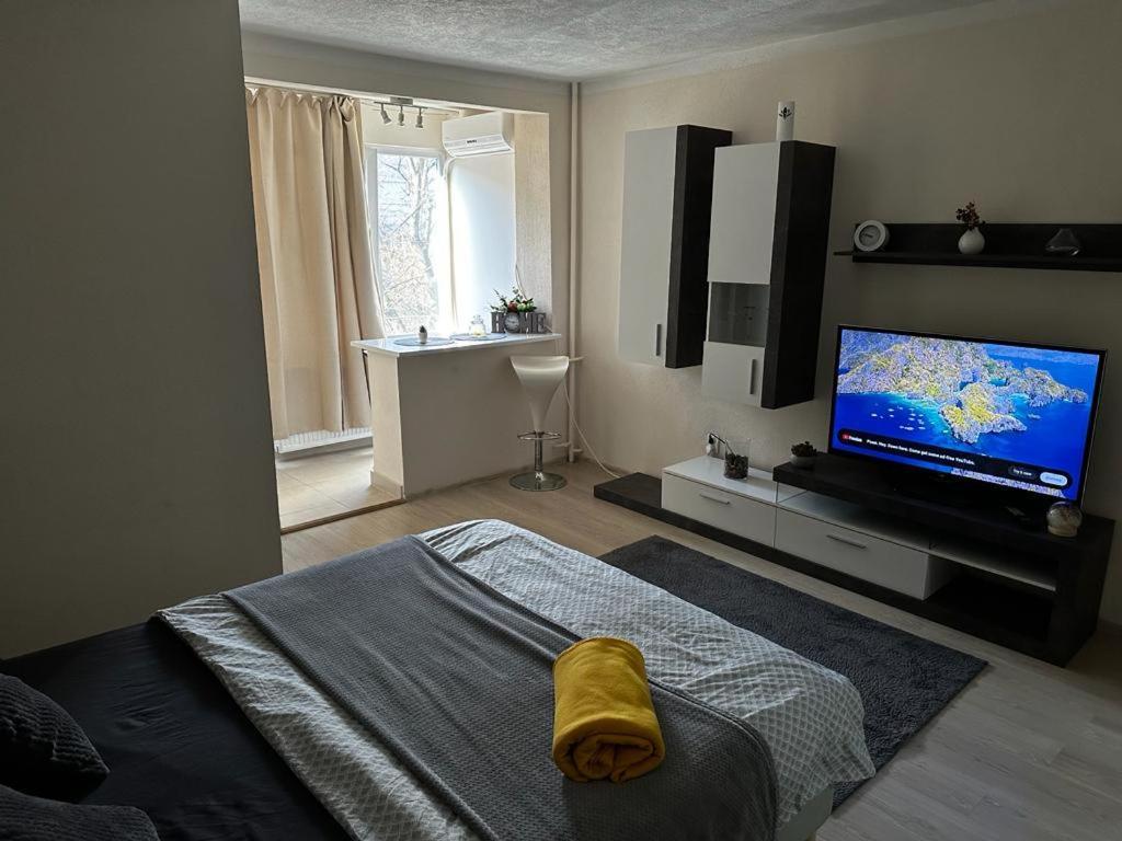 Reeas Apartament Temeşvar Dış mekan fotoğraf