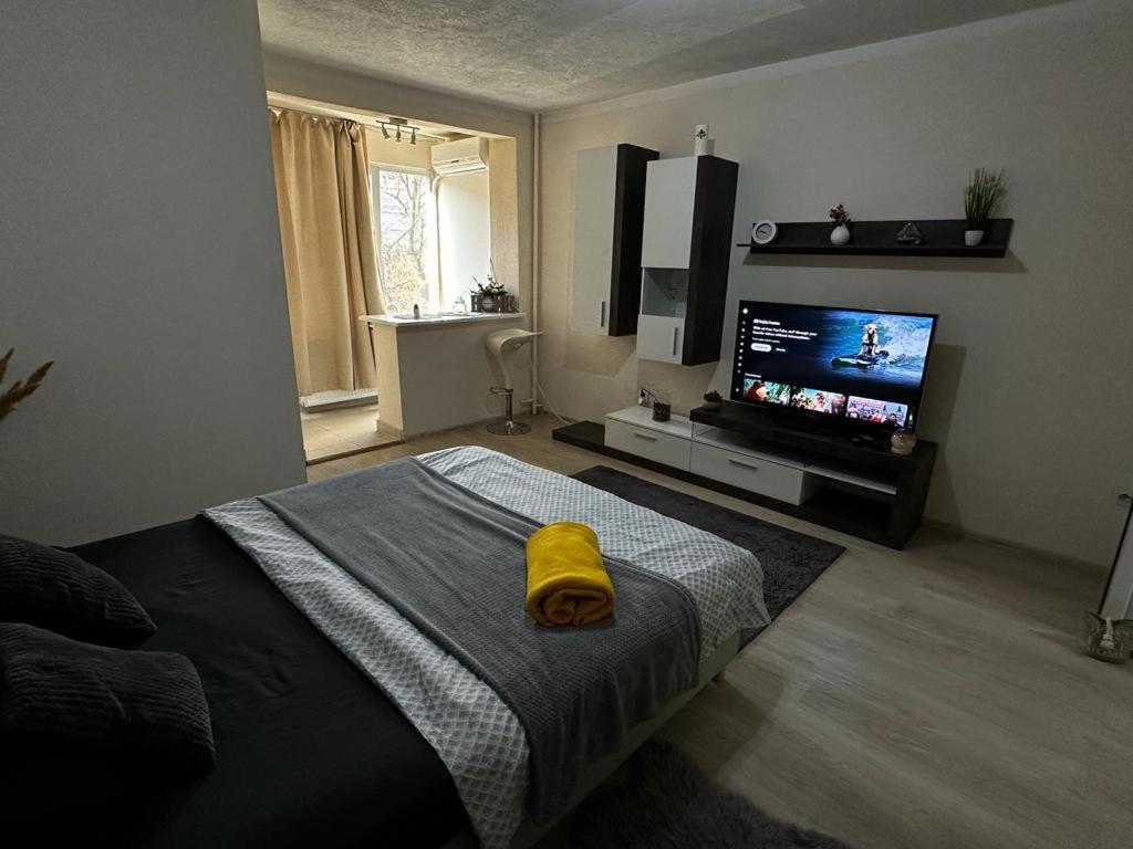 Reeas Apartament Temeşvar Dış mekan fotoğraf